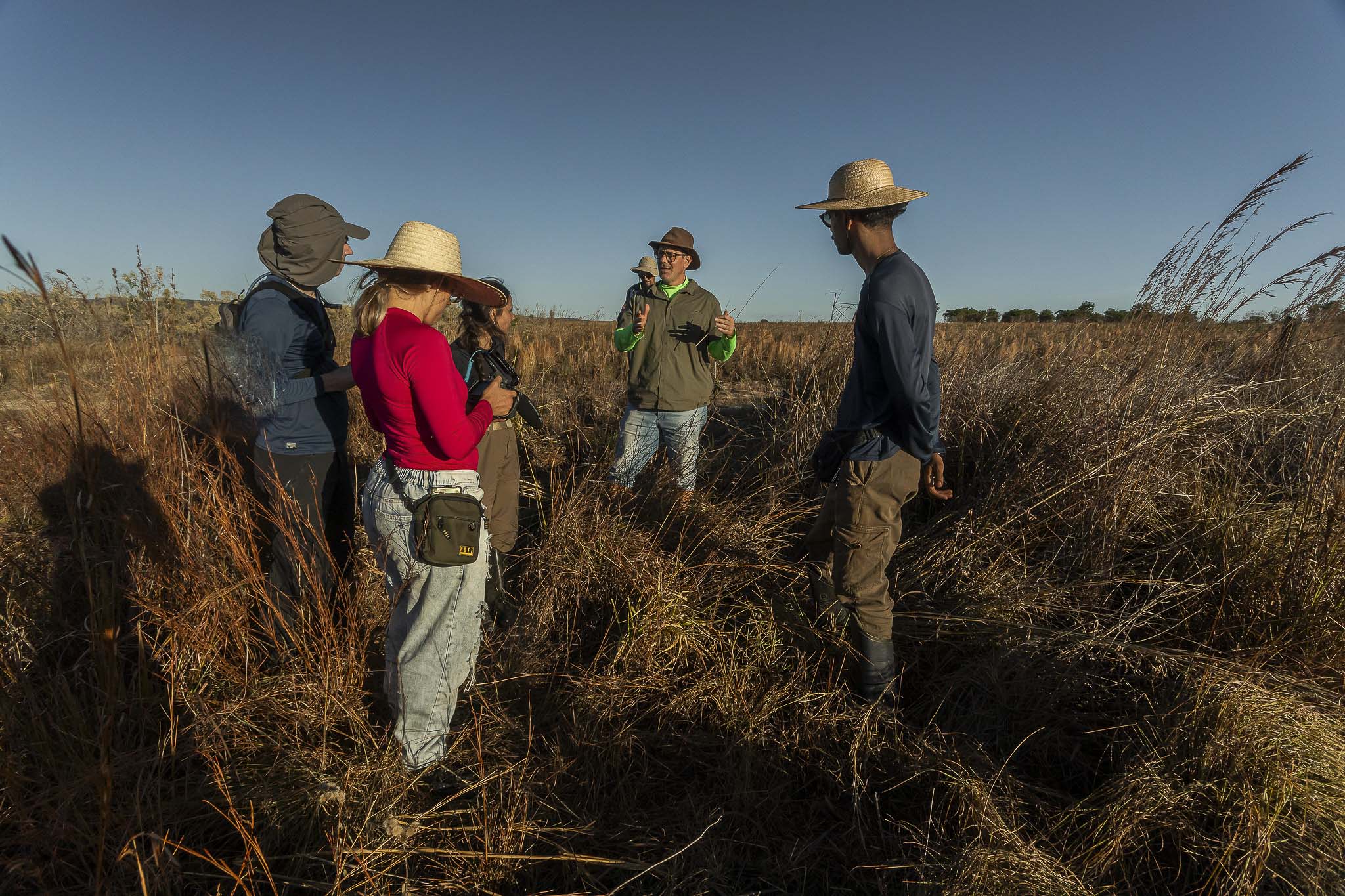 Imagem Restauração Ecológica PA4--17 da expedição de expedicoes/restauracao_25